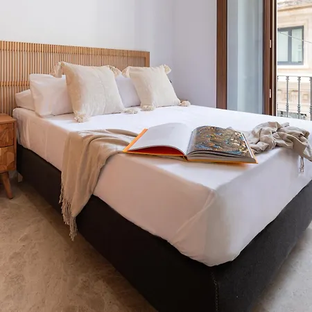 Apartment Lujoso En Casco Antiguo De *