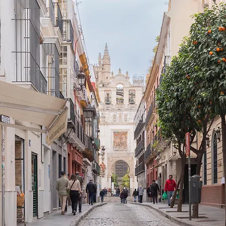 Apartamento Lujoso En Casco Antiguo De